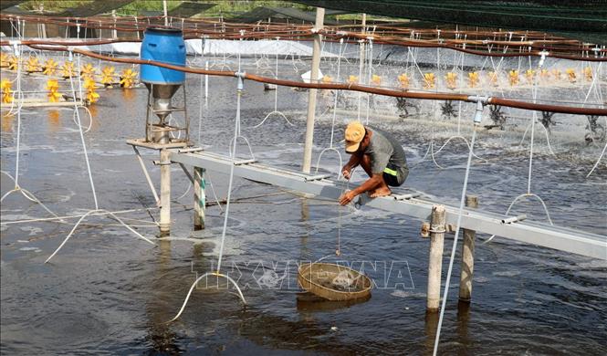 Thúc đẩy chuyển giao, ứng dụng KH CN vào sản xuất thủy sản