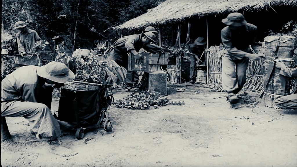 Hoàn thành bộ phim tài liệu nhiều tập  Con đường đã chọn