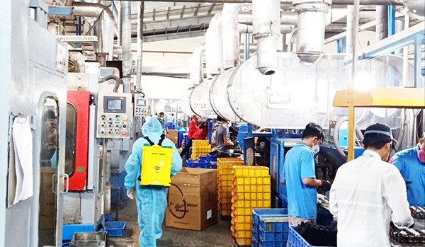 Sản xuất an toàn trong mùa dịch
