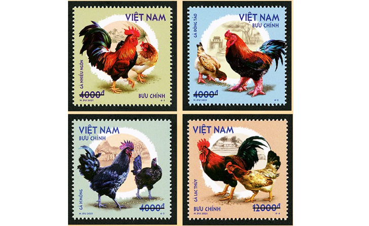 Phát hành bộ tem bưu chính “Gà bản địa Việt Nam”