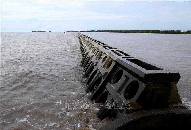 Quy định các khu vực không được lấn biển nhằm đảm bảo môi trường sinh thái