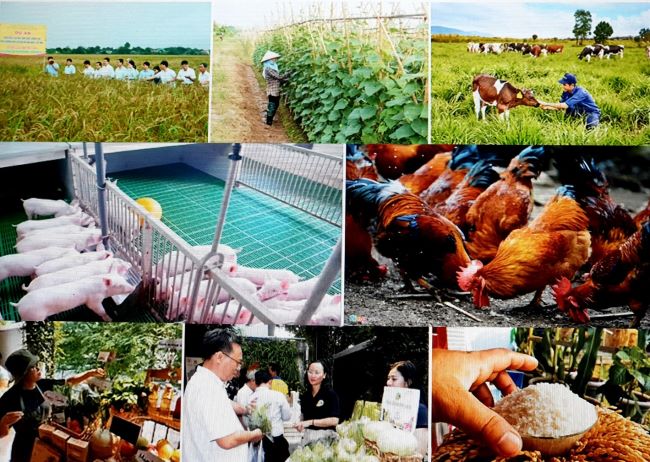 Kỳ 5 Nông nghiệp hữu cơ, nhu cầu tất yếu cho phát triển bền vững