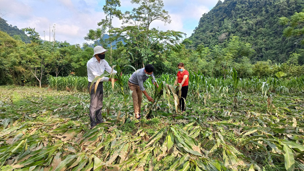 Ảnh hưởng của thiên tai làm 3 người chết, nhiều người bị thương