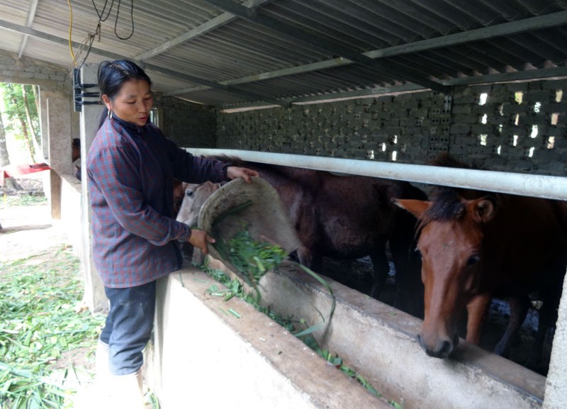 Lào Cai với hành trình 30 năm nỗ lực giảm nghèo