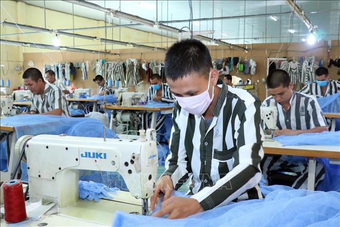 Chủ tịch nước quyết định đặc xá hơn 3 000 phạm nhân dịp 2 9