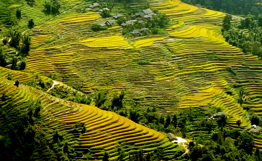 Dừng tổ chức Tuần văn hóa du lịch Qua những miền di sản ruộng bậc thang Hoàng Su Phì lần thứ VI