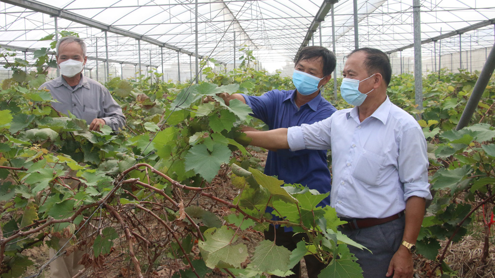 Đảng viên trẻ nêu gương học và làm theo Bác