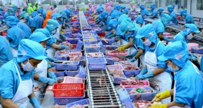 Giải quyết chế độ BHXH tại doanh nghiệp phá sản còn nợ tiền đóng BHXH