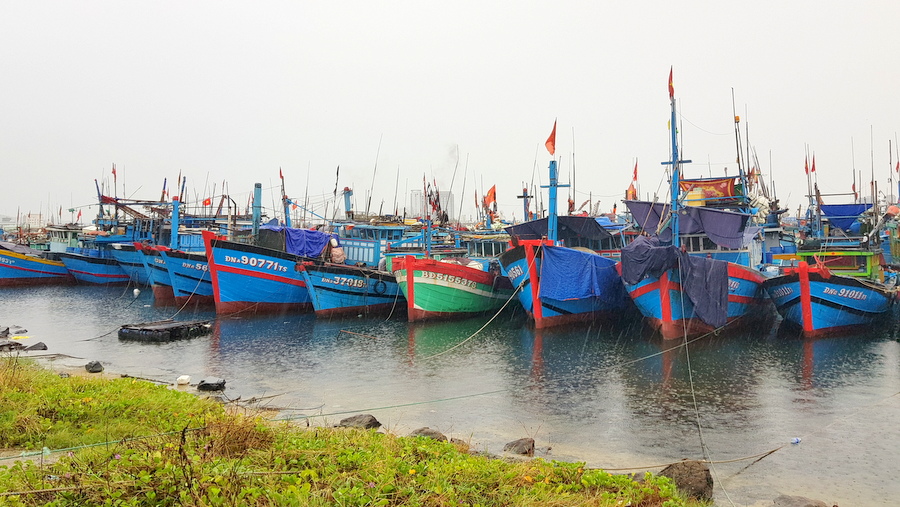 Bằng mọi biện pháp, kêu gọi tàu thuyền thoát ra khỏi vùng nguy hiểm của bão