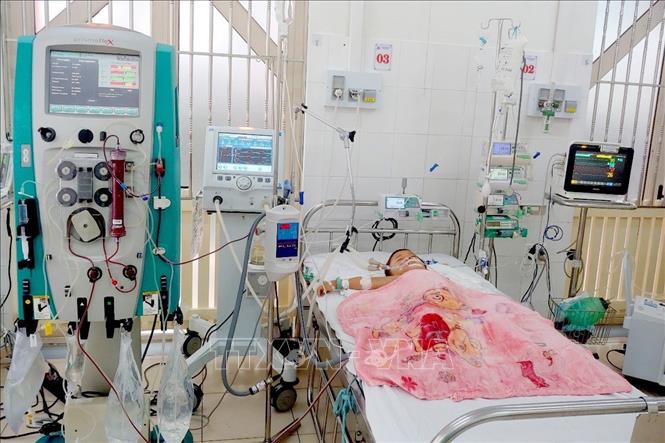 Cứu sống bé trai 5 tuổi nguy kịch với hơn 50 vết ong đốt