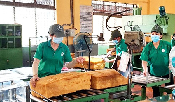Đồng Nai Các doanh nghiệp chủ động sản xuất an toàn trong mùa dịch