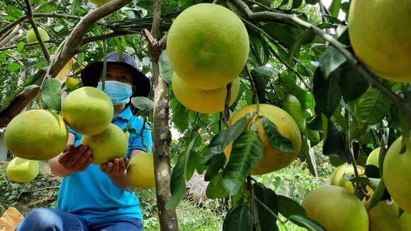 Tín dụng chính sách - Động lực giúp Hà Tĩnh giảm nghèo thành công
