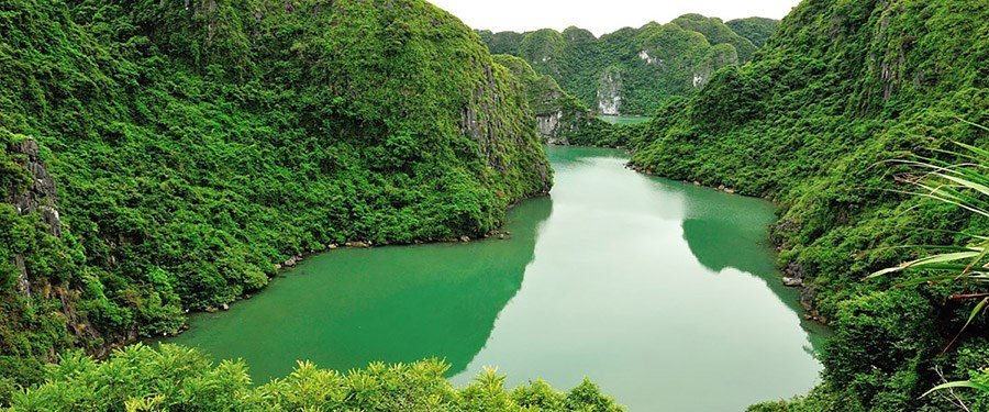 Việt Nam tham dự Hội nghị thường niên Hội đồng điều phối chương trình con người và sinh quyển