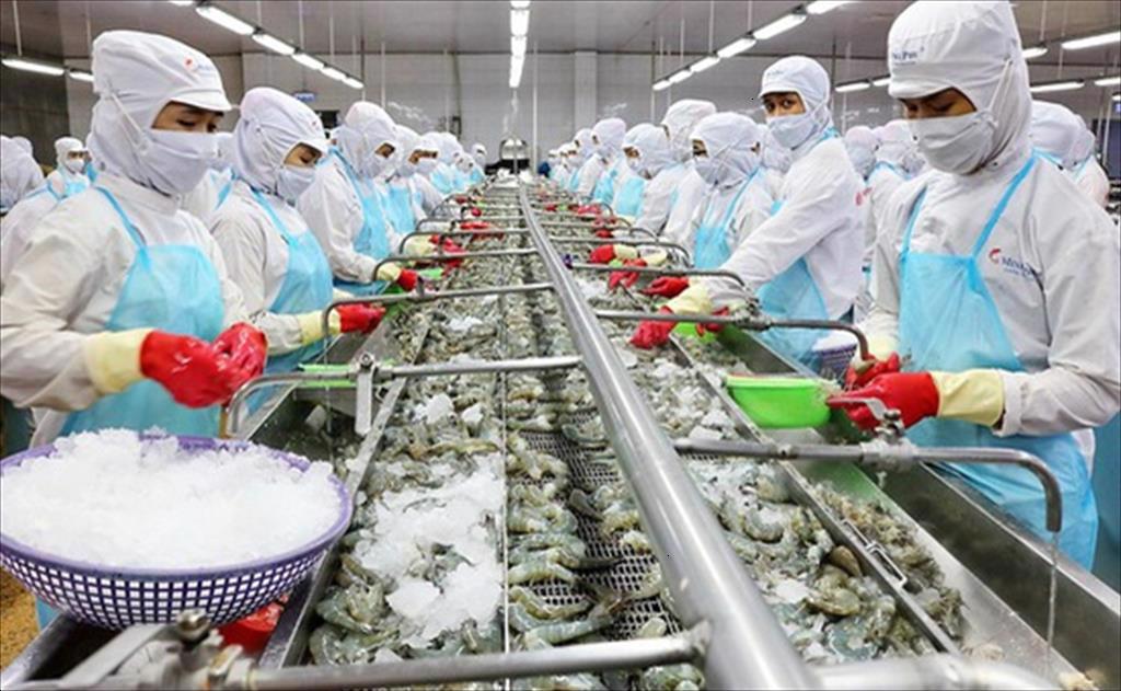 Tháo gỡ khó khăn cho doanh nghiệp thủy sản phía Nam