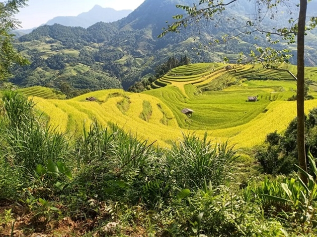 Hà Giang tổ chức Chương trình truyền thông giới thiệu văn hóa các dân tộc gắn với ruộng bậc thang