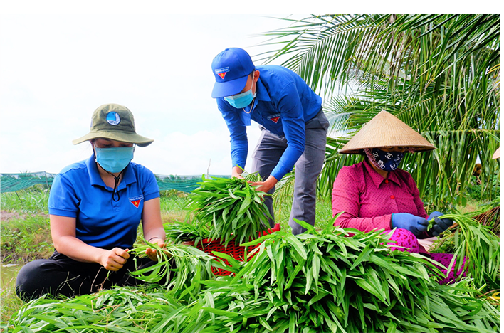 Tuổi trẻ Bến Tre xung kích, tình nguyện trên mặt trận chống dịch COVID-19