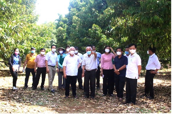 Bình Phước Tiếp tục củng cố, phát triển kinh tế tập thể