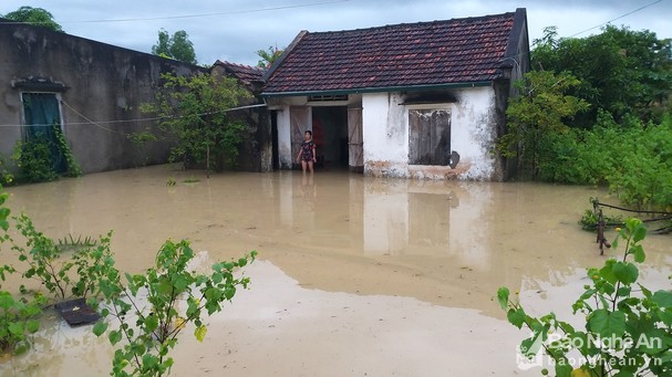 Huy động vật tư, phương tiện, nhân lực giúp người dân khắc phục hậu quả bão số 6