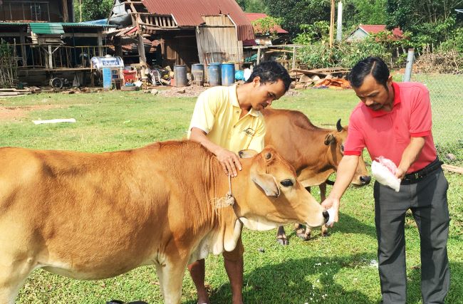 Vốn ưu đãi đồng hành cùng đồng bào dân tộc thiểu số vươn lên thoát nghèo