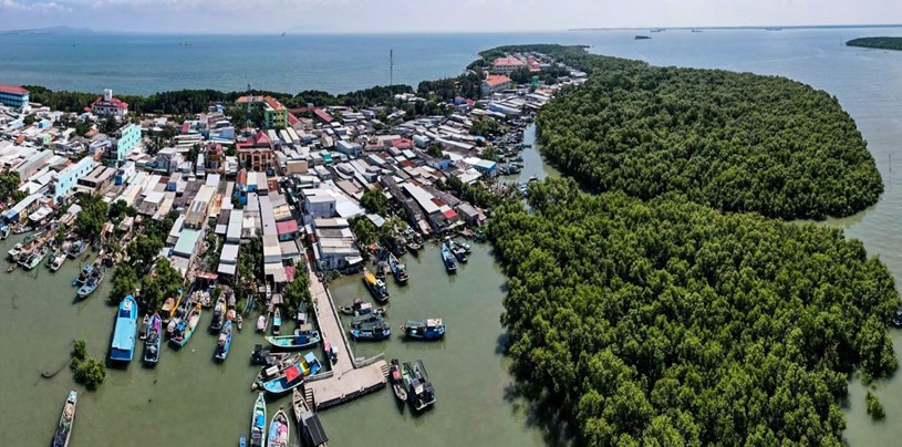 Bảo vệ và phát triển nguồn lợi thủy sản trên địa bàn TP Hồ Chí Minh