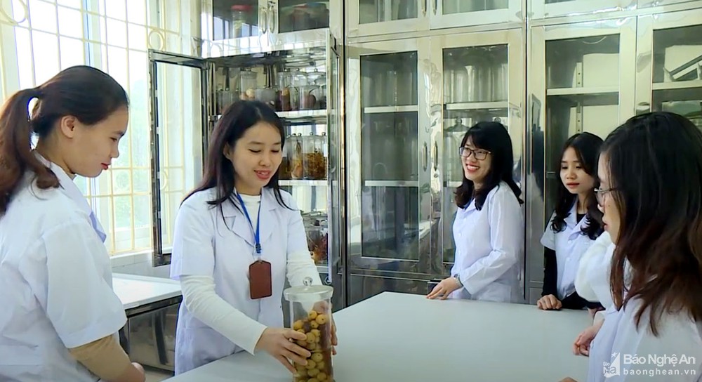 Những “bông hồng” đam mê nghiên cứu khoa học