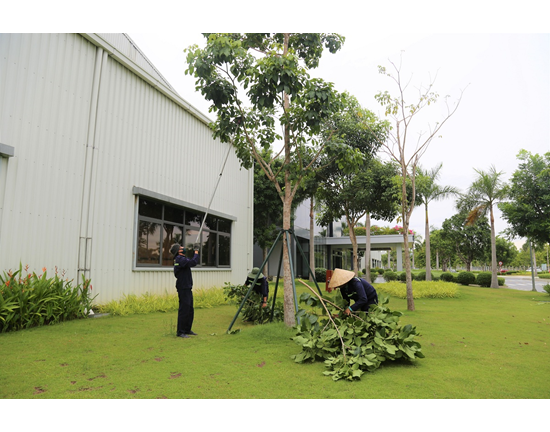 Công tác phòng chống lụt, bão tại Khu công nghiệp THACO Chu Lai