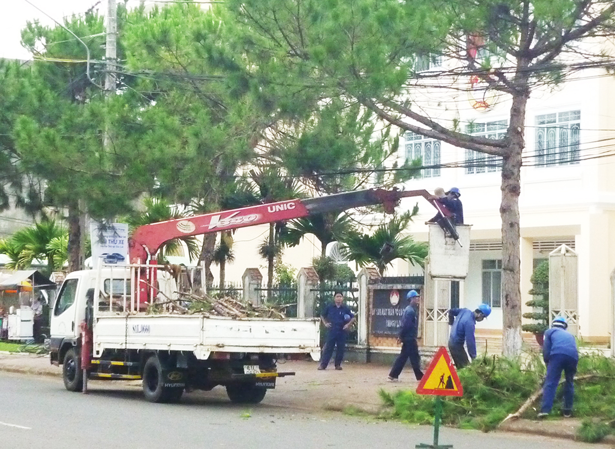 Gia Lai Đảm bảo phương án sơ tán dân cư phù hợp tình hình dịch bệnh COVID-19