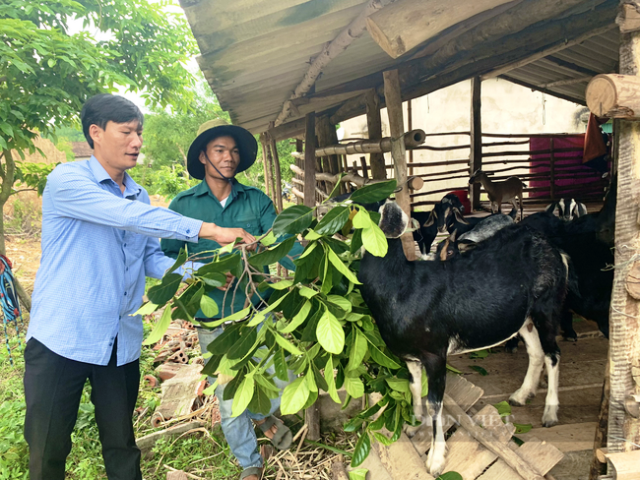 Chặng đường 19 năm giúp dân xóa nghèo của Ngân hàng chính sách xã hội Quảng Bình