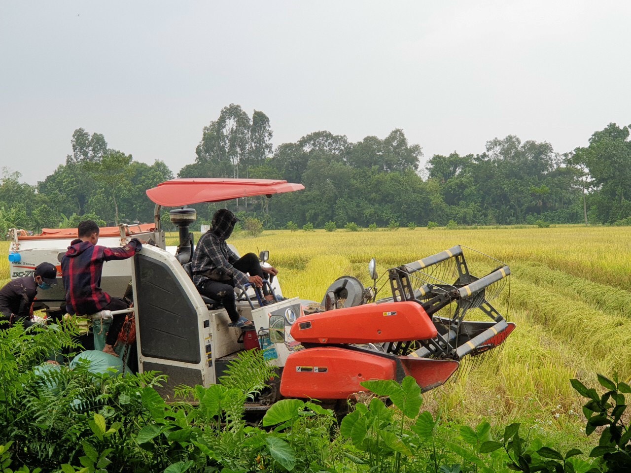Nam Định Đẩy mạnh các phong trào thi đua gắn với “mục tiêp kép”