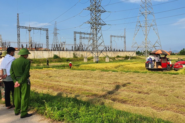 “Bảo kê” máy gặt lúa bị xử lý ra sao