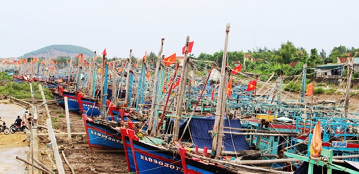 Nghệ An cấm biển từ 0 giờ ngày 10 10
