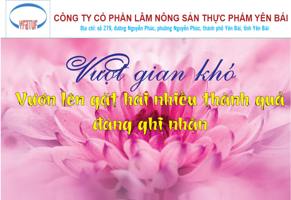 Vượt gian khó vươn lên gặt hái nhiều thành quả đáng ghi nhận