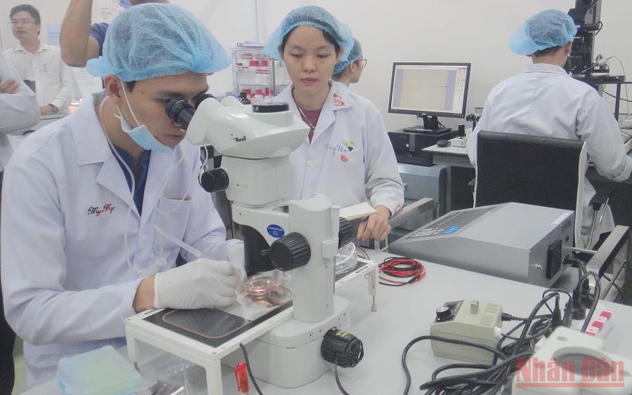 Thêm 2 nhóm ngành của Đại học Quốc gia TP Hồ Chí Minh xếp hạng cao thế giới