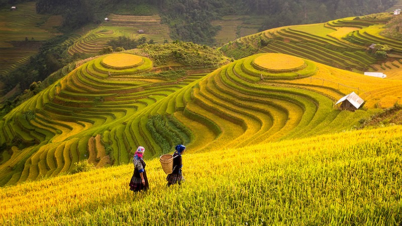 Cân đối hài hòa giữa thiên nhiên và con người - giải pháp ứng phó với biến đổi khí hậu