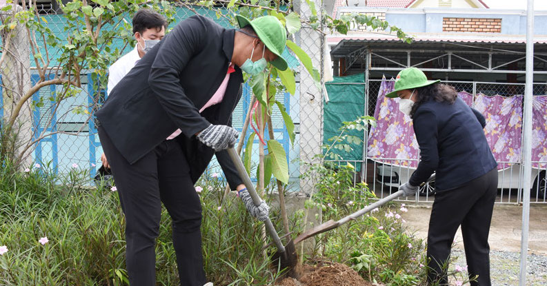 Bến Tre triển khai trồng hơn 31 ngàn cây xanh