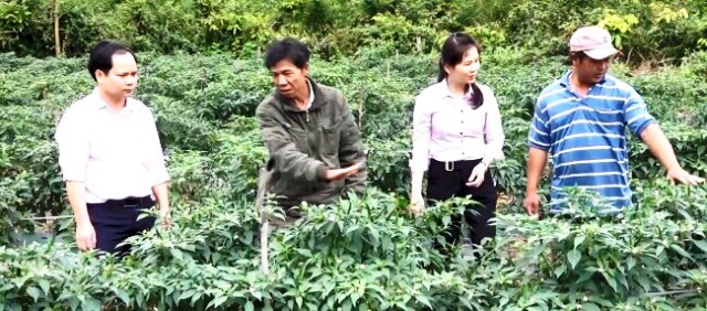 Bình Định thực hiện tốt Chỉ thị 40 của Ban Bí thư về tín dụng chính sách