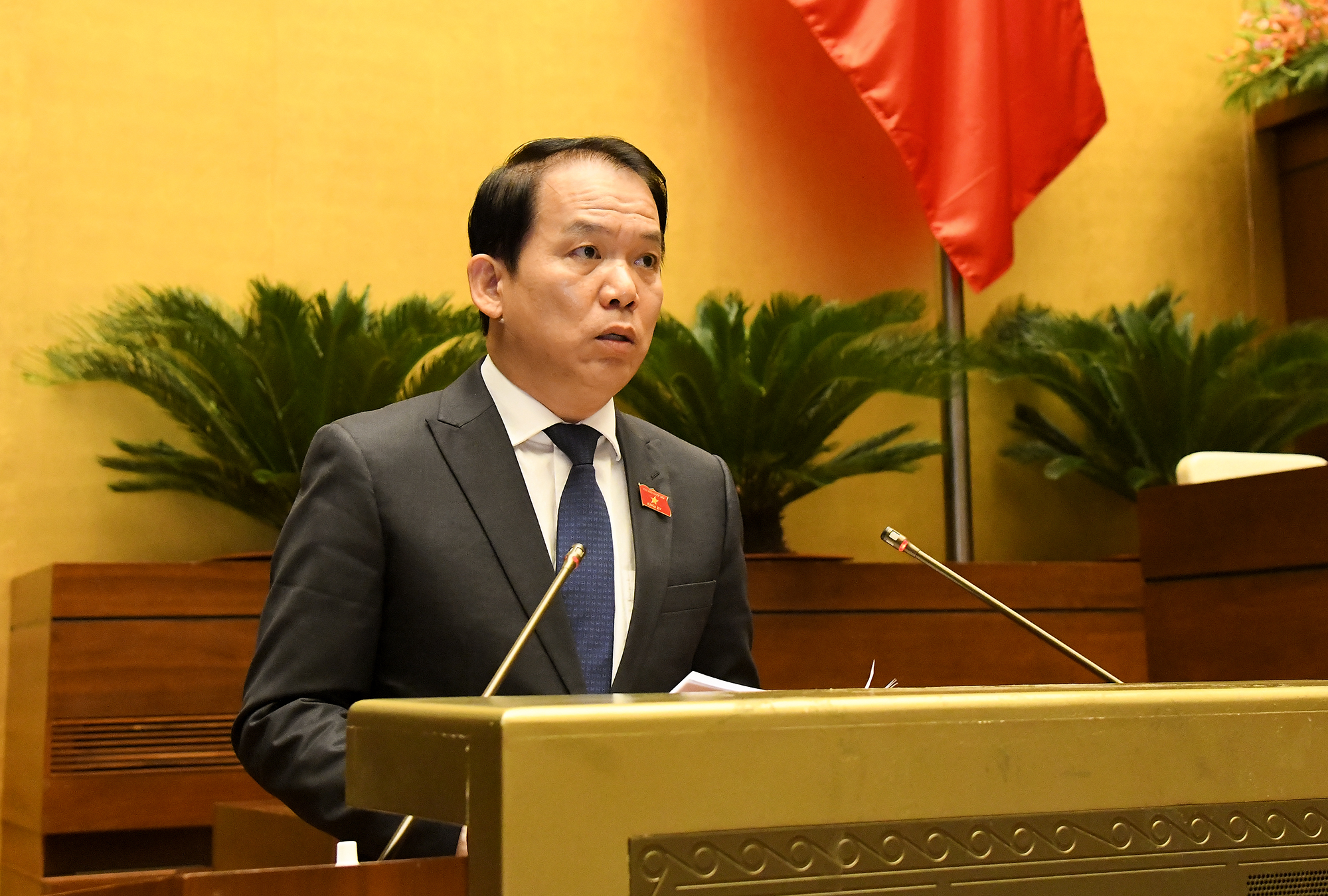Quy định quyền tác giả, quyền liên quan cần bảo đảm thống nhất, chặt chẽ