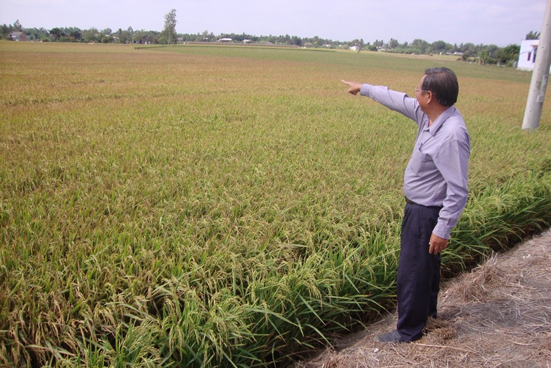 Long An Đa dạng sản phẩm nông nghiệp