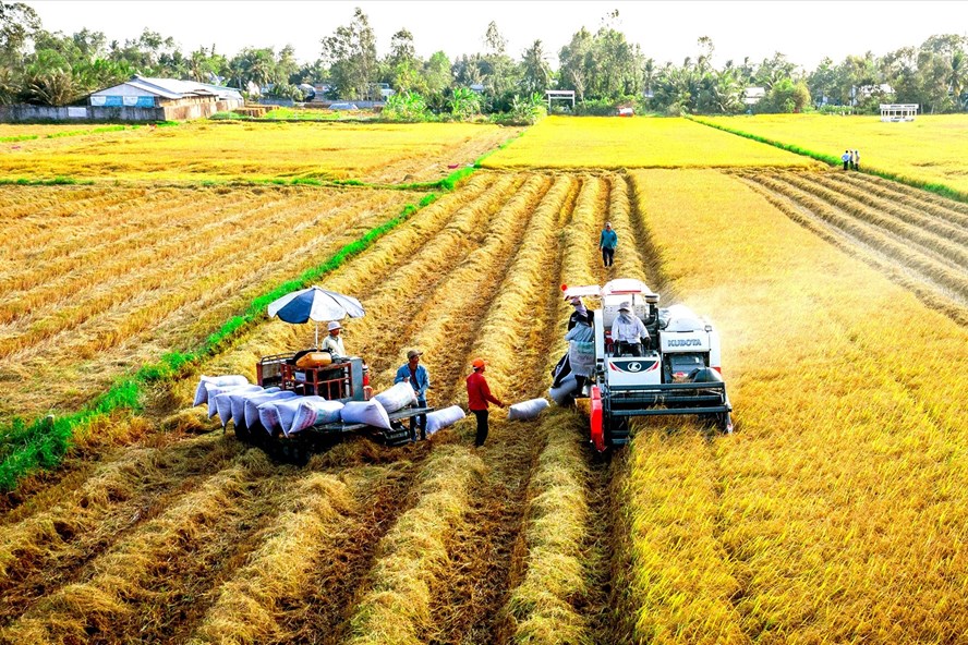 Một số mô hình canh tác nông nghiệp thích ứng với biến đổi khí hậu
