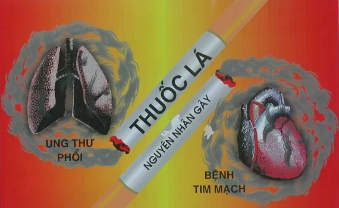 Bộ Giao thông vận tải Tăng cường thực thi Luật Phòng, chống tác hại của thuốc lá