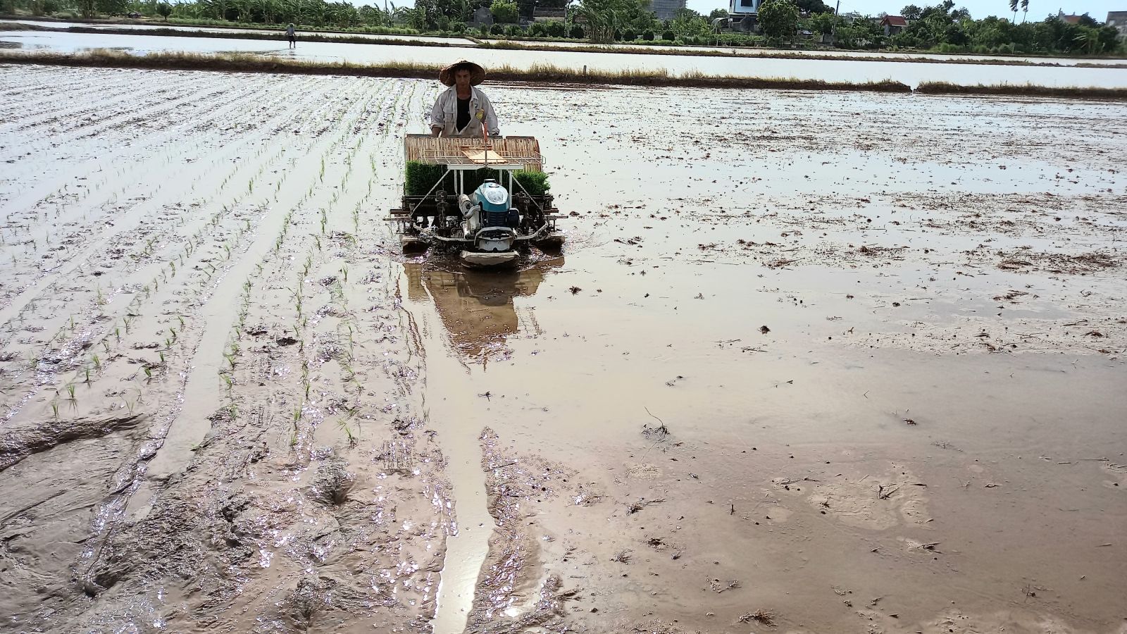 Biến ruộng hoang thành vùng sản sản xuất lớn