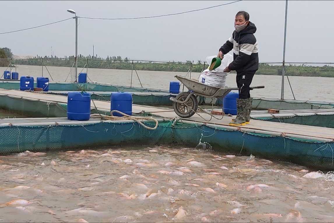 Thái Bình Tổng sản lượng thủy sản tháng 10 2021 tăng trên 8,6