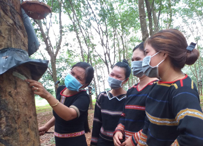 Nữ đảng viên Rơ Lan H’Bim Giúp nhiều chị em trong làng thoát nghèo