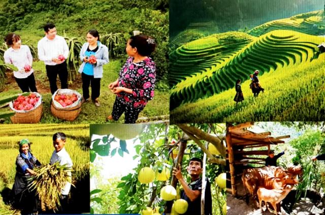 Nêu cao tinh thần đạo đức cách mạng, xứng đáng là người cán bộ Ngân hàng hết lòng phục vụ nhân dân