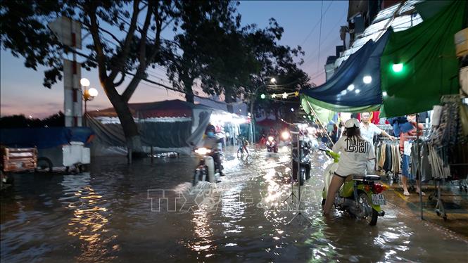 Bến Tre ứng phó với đợt triều cường cao nhất trong năm