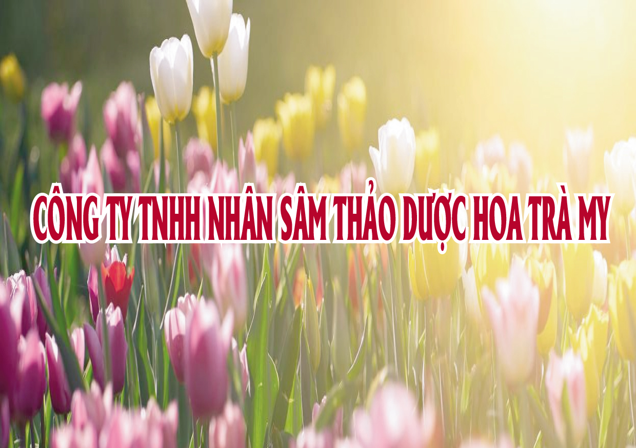 Chào mừng kỷ niệm 77 năm Ngày thành lập Quân đội Nhân dân Việt Nam 22 12 1944 - 22 12 2021