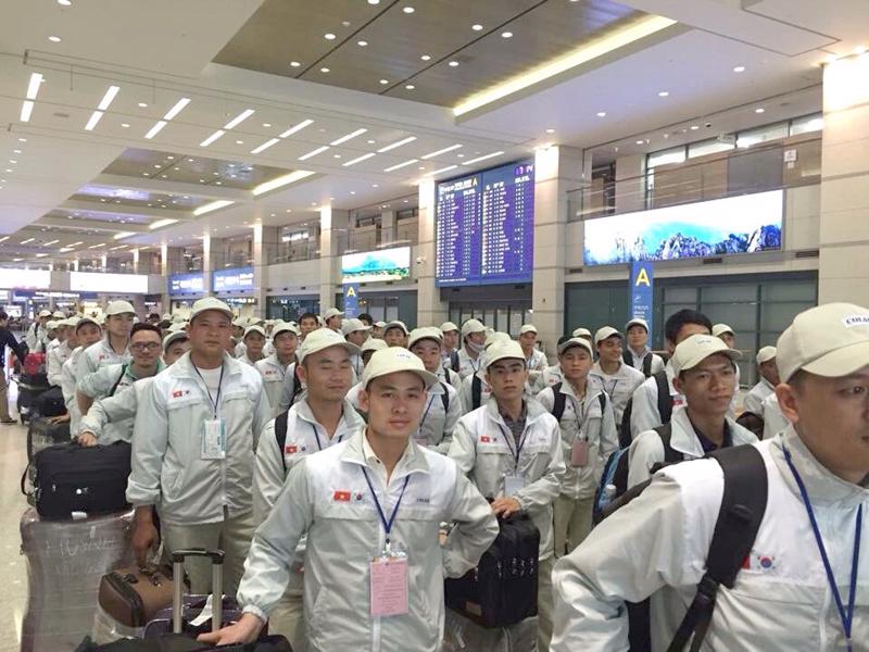 Tạm dừng tuyển chọn lao động đi Hàn Quốc với 10 huyện, thị xã