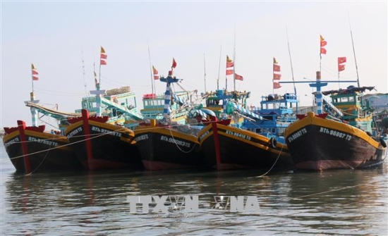 Bình Thuận Phấn đấu sản xuất thủy sản “thích ứng an toàn, linh hoạt, kiểm soát hiệu quả dịch COVID-19”