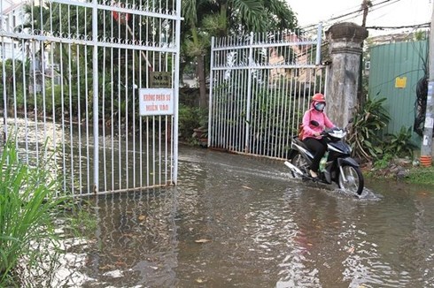 Trà Vinh chủ động ứng phó với triều cường