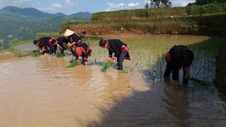 Cộng đồng người Dao ở bản Nậm Hồng